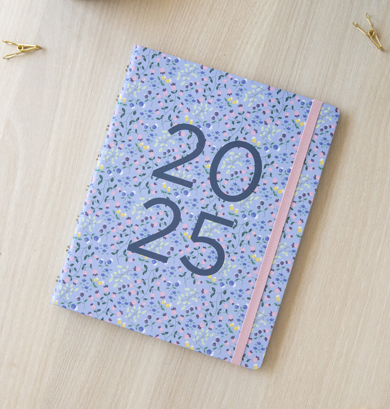 Planner Meadow A5 Sky 2025